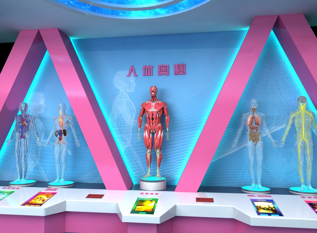 1人体奥秘05.jpg